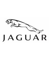 JAGUARn[