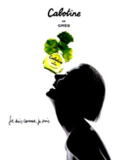 Gres-Gresѷ]pvȬwaϪO̯SOXFsڪCabotine MqNΤHȬwwAMs²bʹӪA᭻դaDAHOĤ@LHC